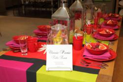 Oneida picnic with Culinaria Dinnerware and Stafford Flatware